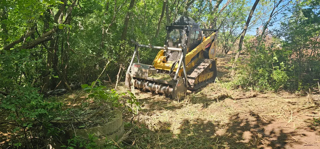 Close view of a skid steer forestry mulcher drum head grinding standing brush into mulch