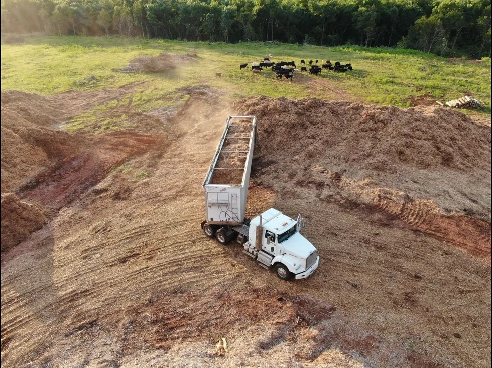Cleared and mulched Oklahoma pasture with a haul truck working and cattle grazing on the recovered grass beyond